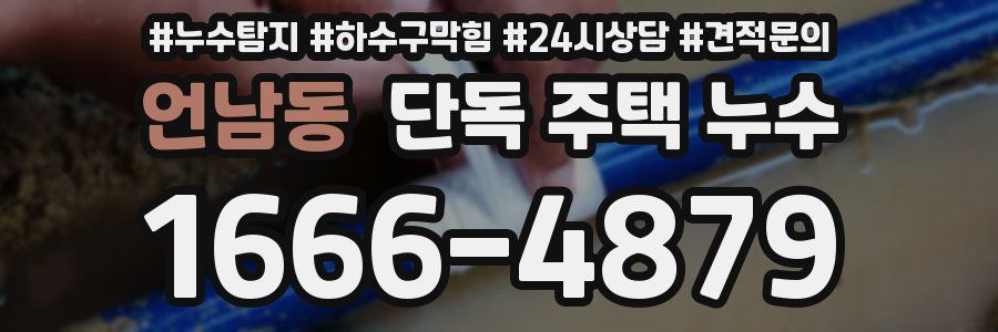 언남동 단독 주택 누수