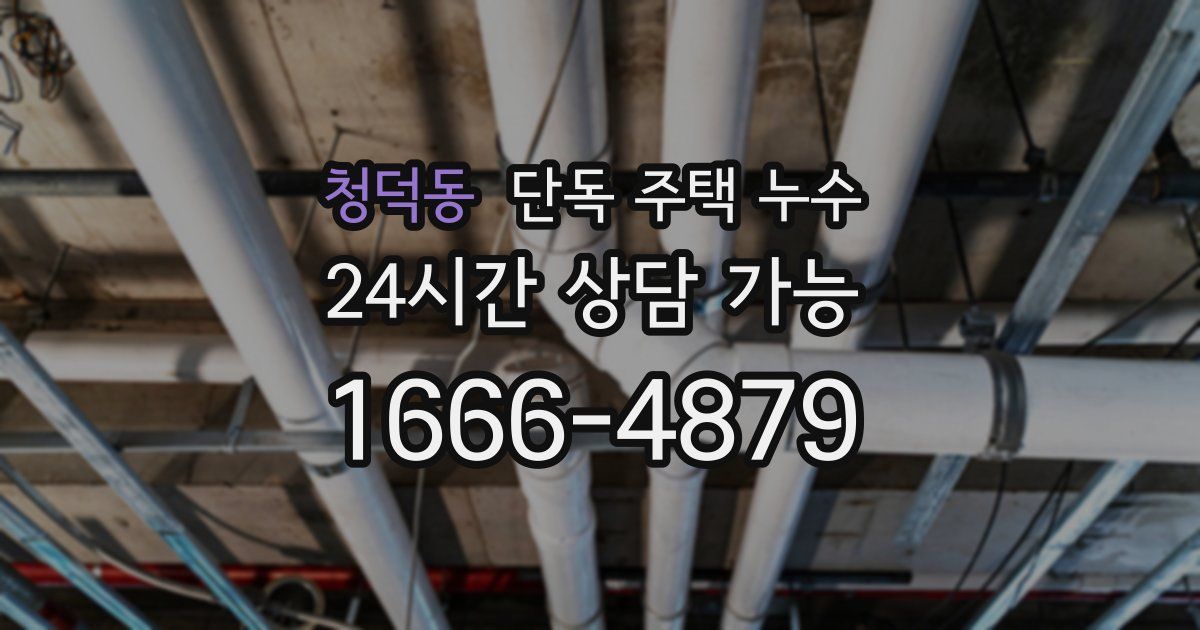 청덕동 단독 주택 누수