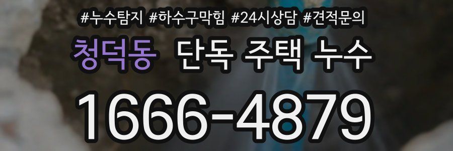 청덕동 단독 주택 누수