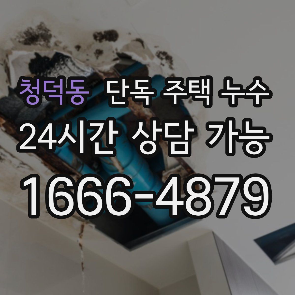 청덕동 단독 주택 누수