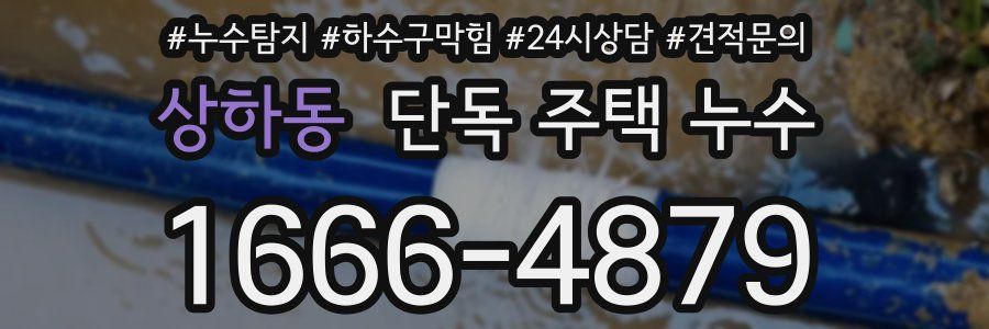 상하동 단독 주택 누수