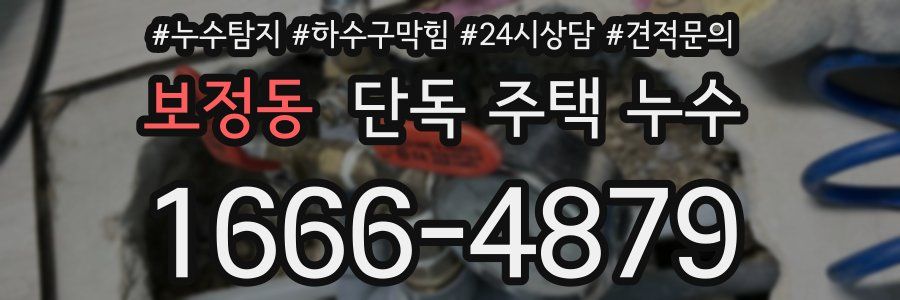보정동 단독 주택 누수