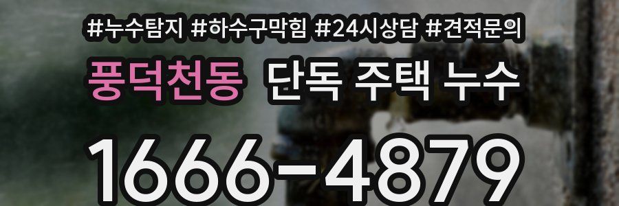 풍덕천동 단독 주택 누수