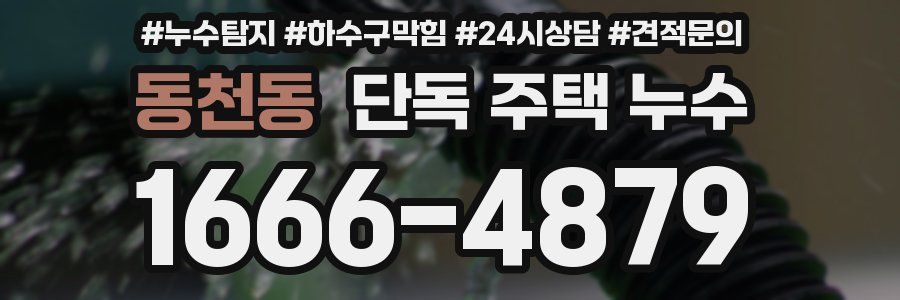 동천동 단독 주택 누수