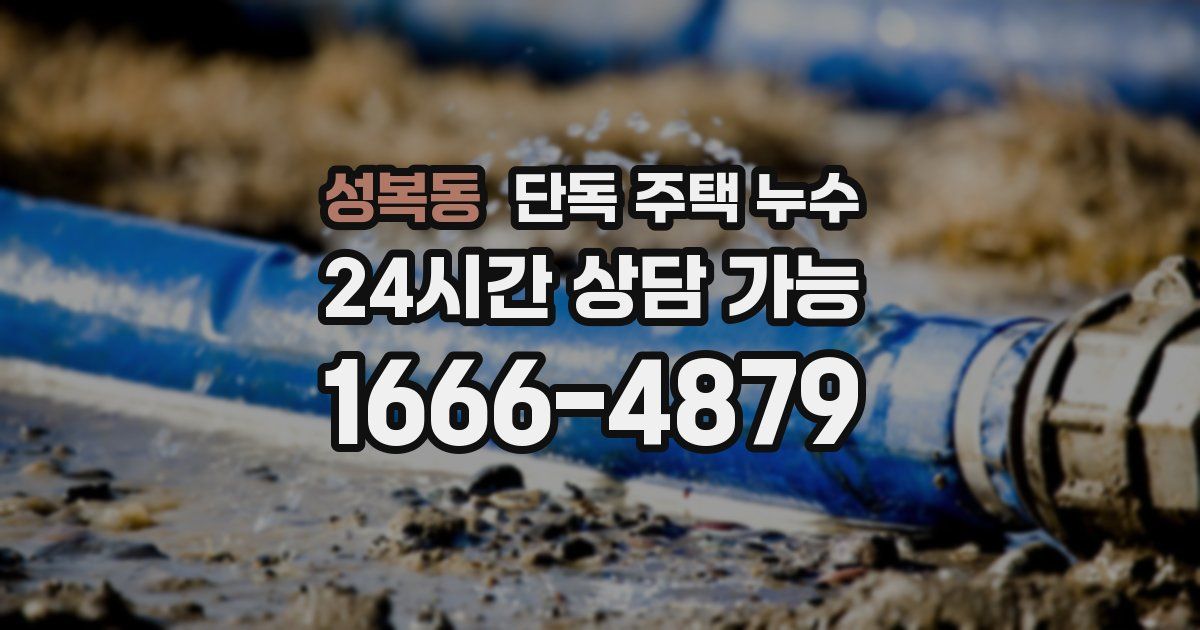 성복동 단독 주택 누수