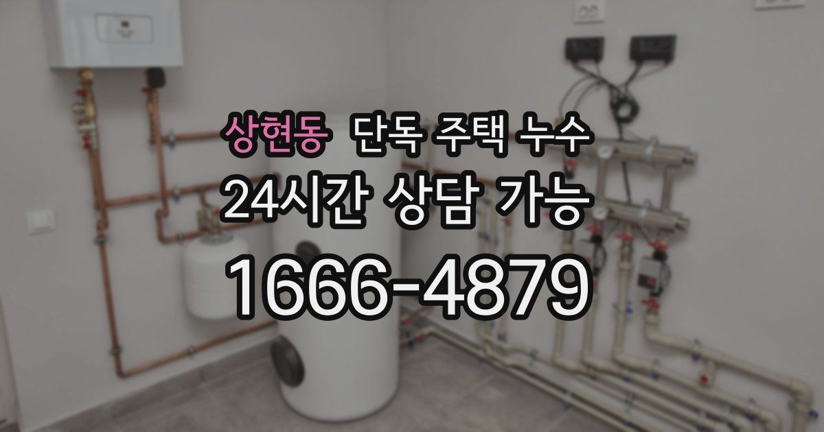 상현동 단독 주택 누수