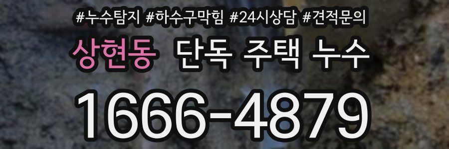 상현동 단독 주택 누수