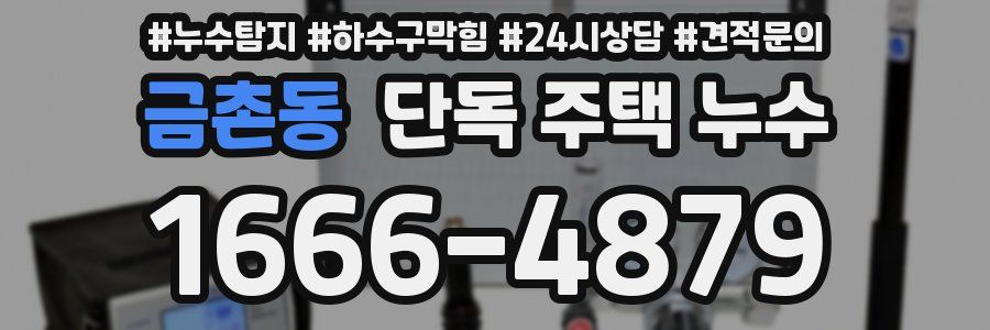 금촌동 단독 주택 누수