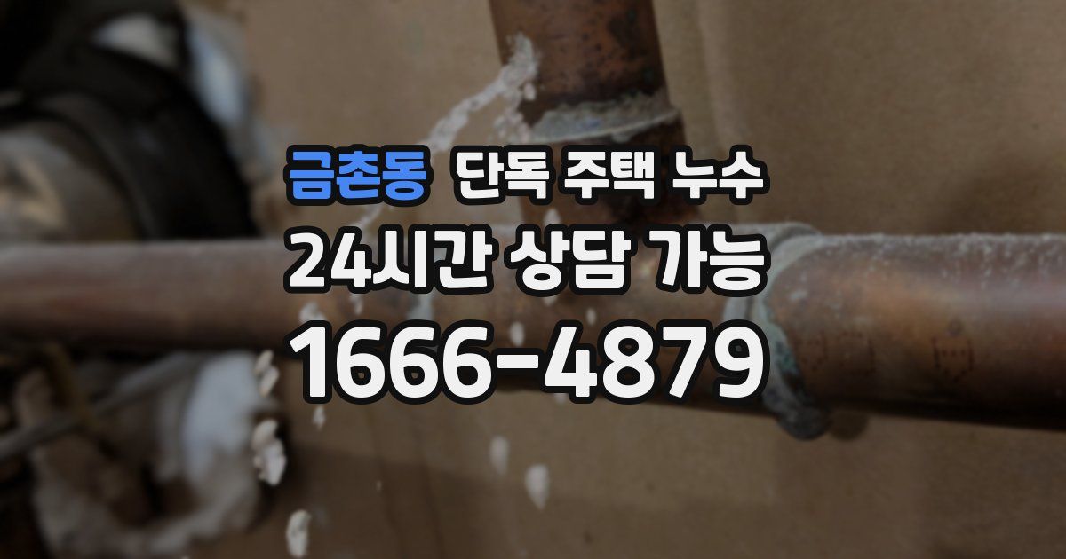 금촌동 단독 주택 누수