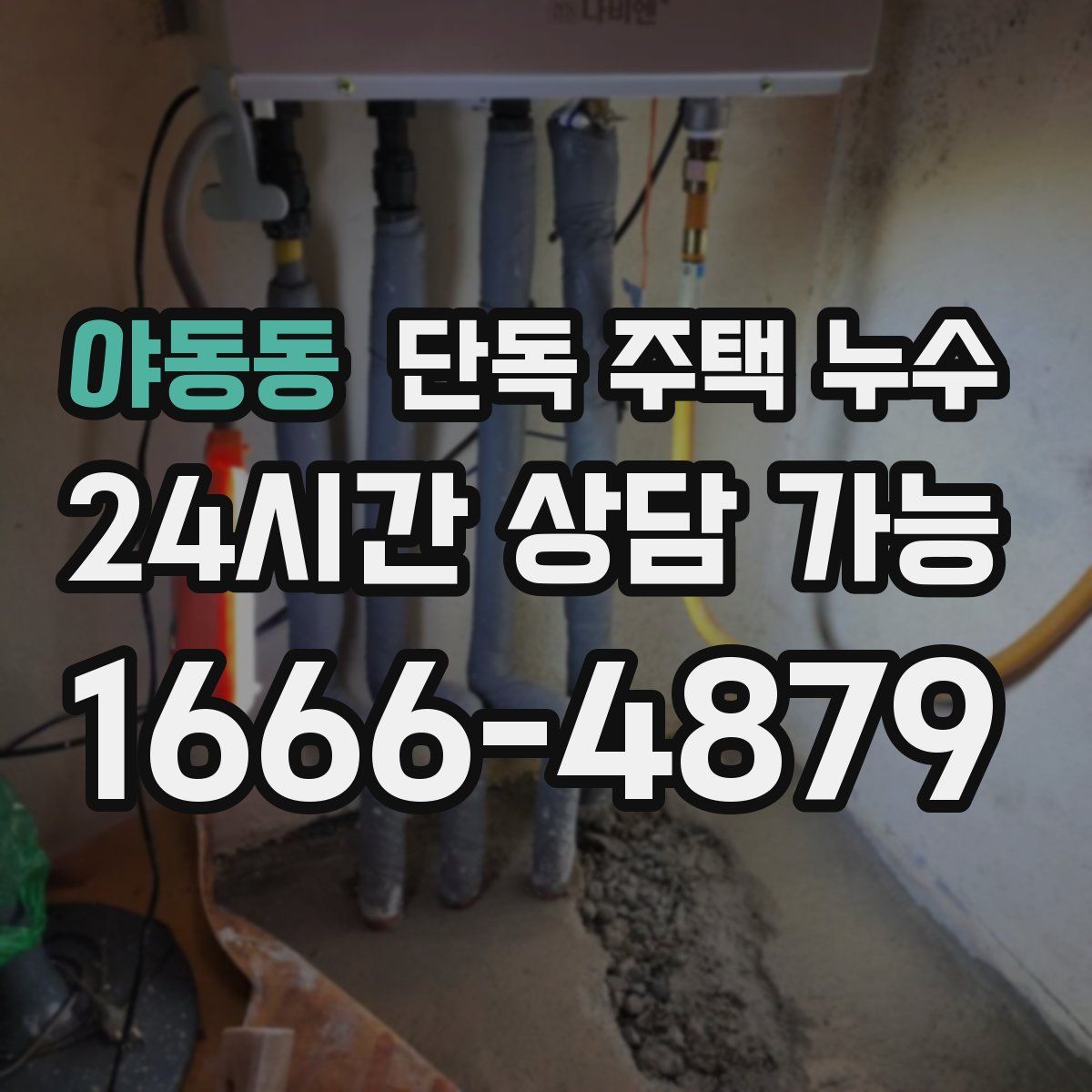 야동동 단독 주택 누수