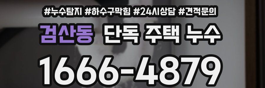 검산동 단독 주택 누수