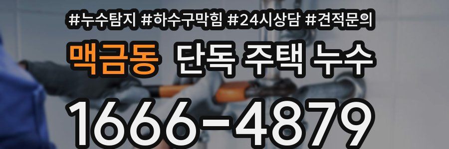 맥금동 단독 주택 누수
