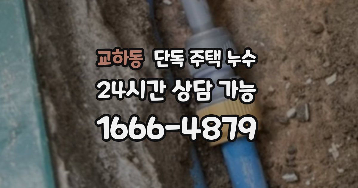 교하동 단독 주택 누수