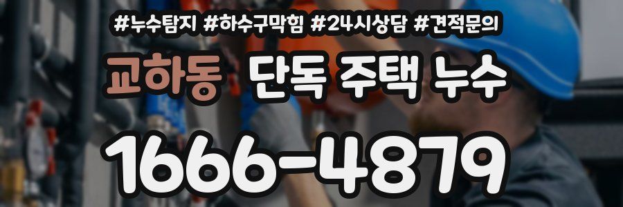 교하동 단독 주택 누수