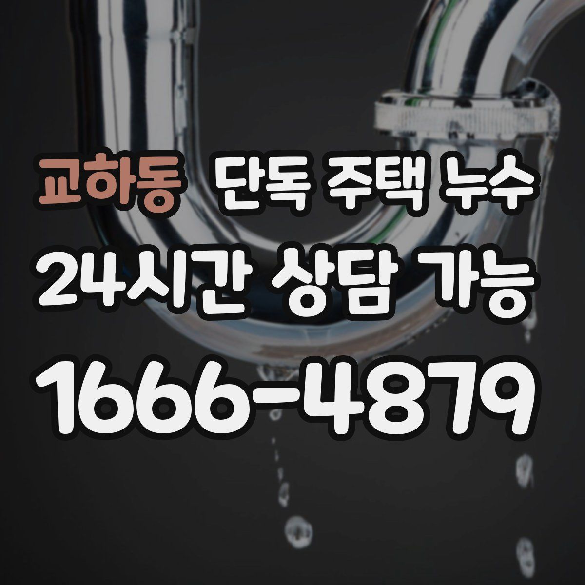 교하동 단독 주택 누수