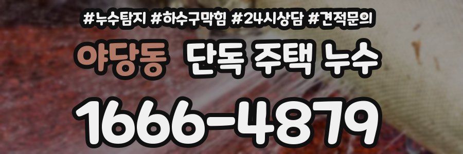 야당동 단독 주택 누수