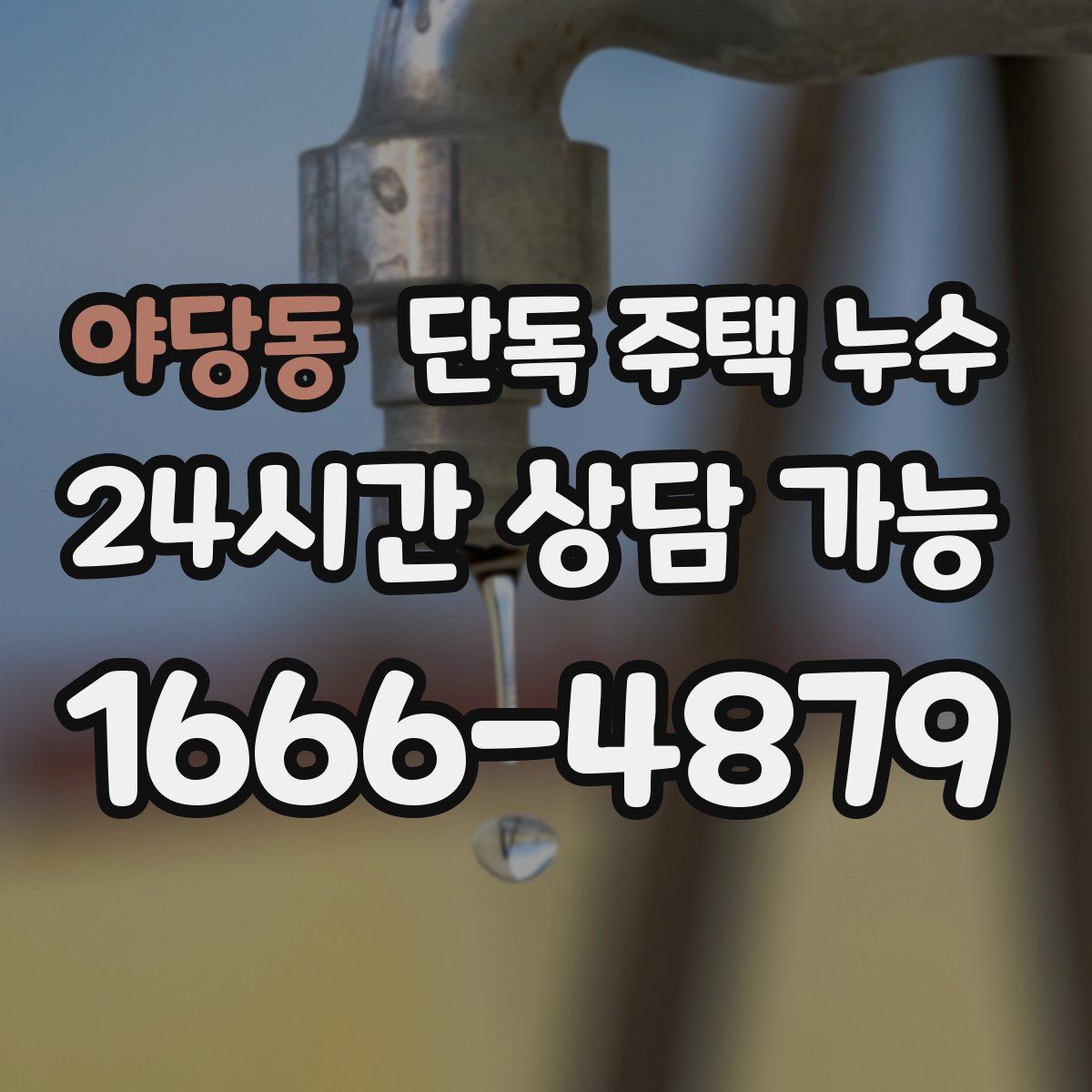 야당동 단독 주택 누수