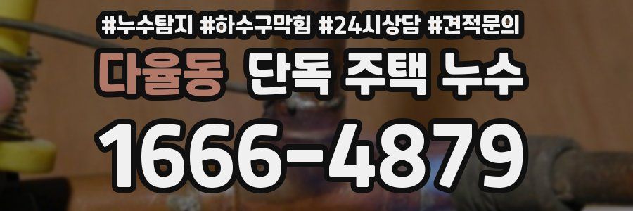 다율동 단독 주택 누수