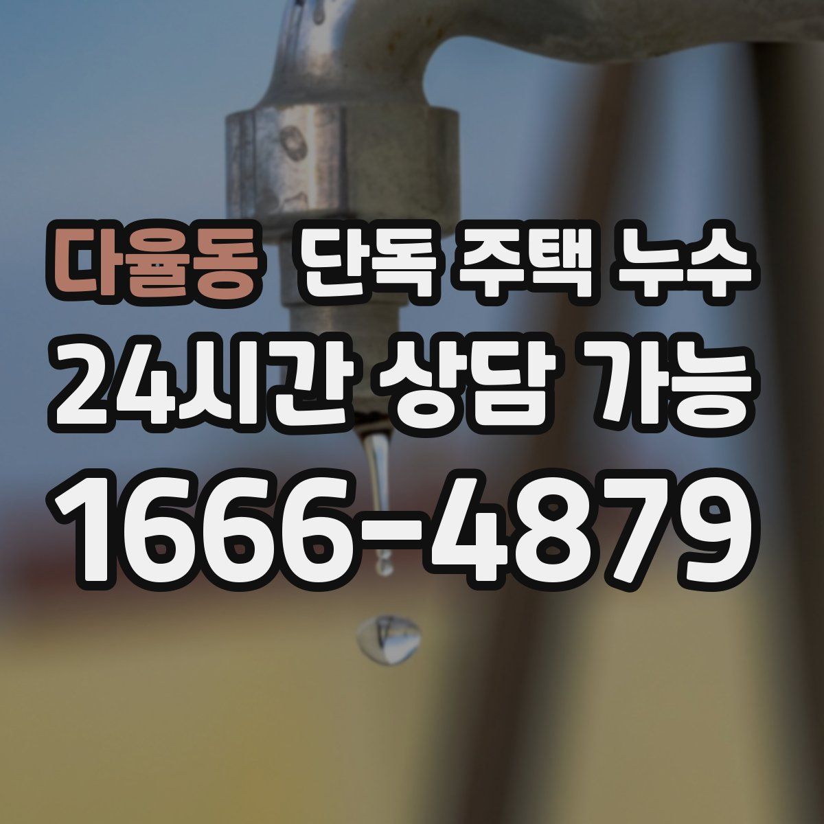 다율동 단독 주택 누수