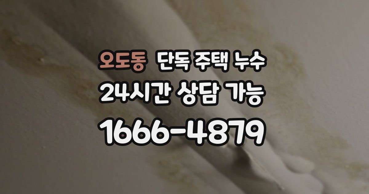오도동 단독 주택 누수