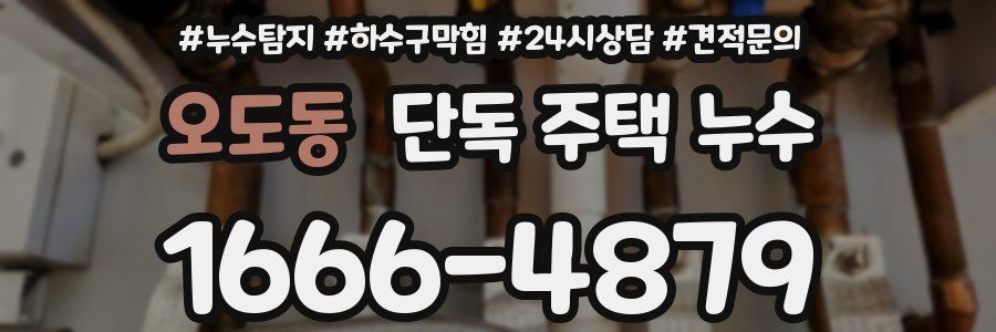 오도동 단독 주택 누수