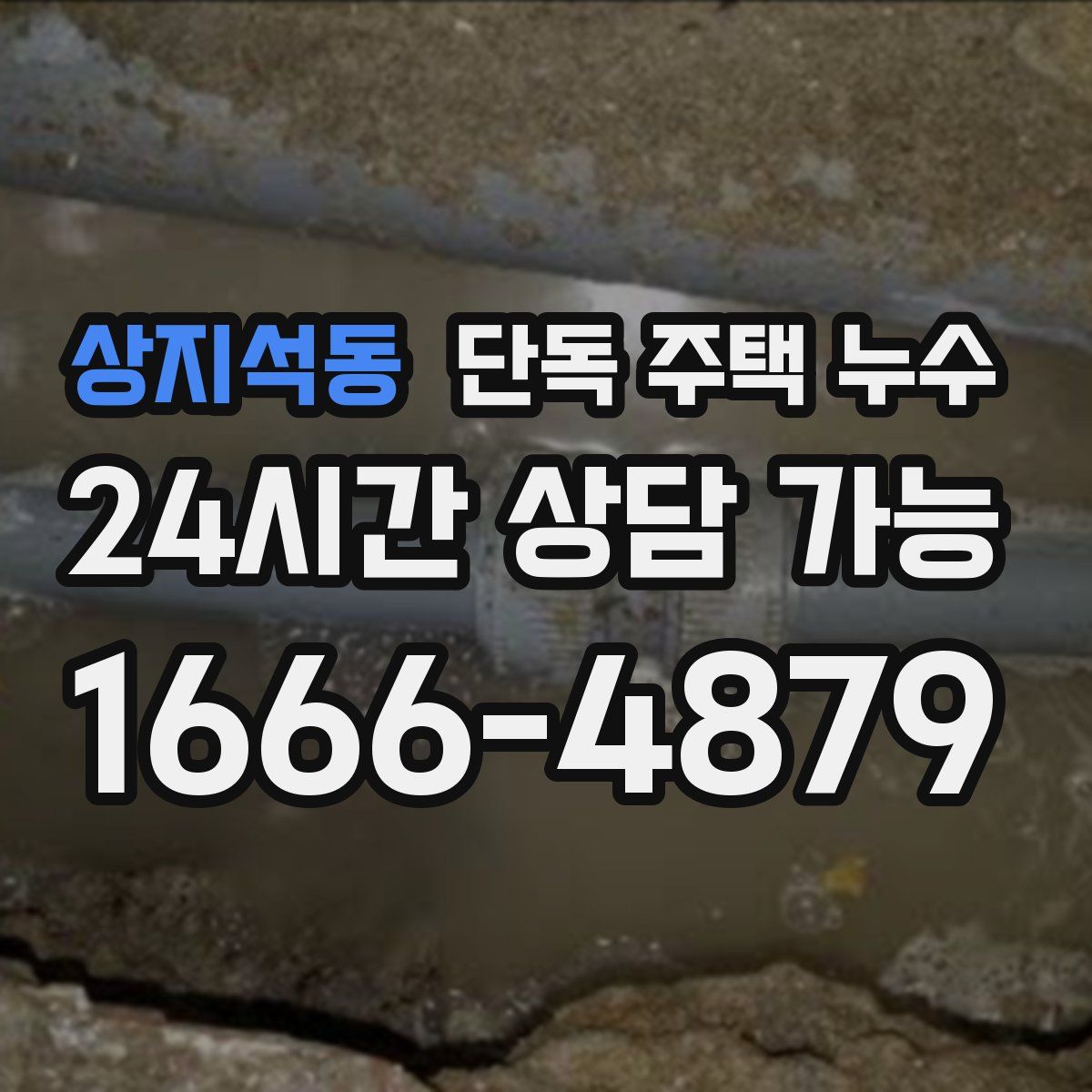 상지석동 단독 주택 누수