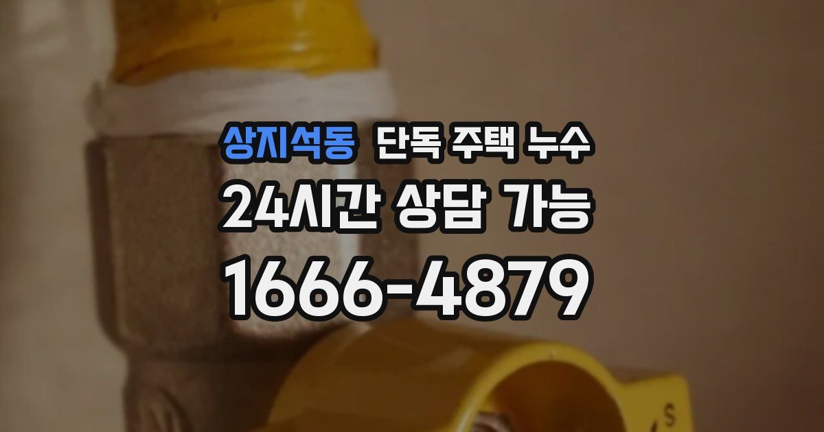 상지석동 단독 주택 누수