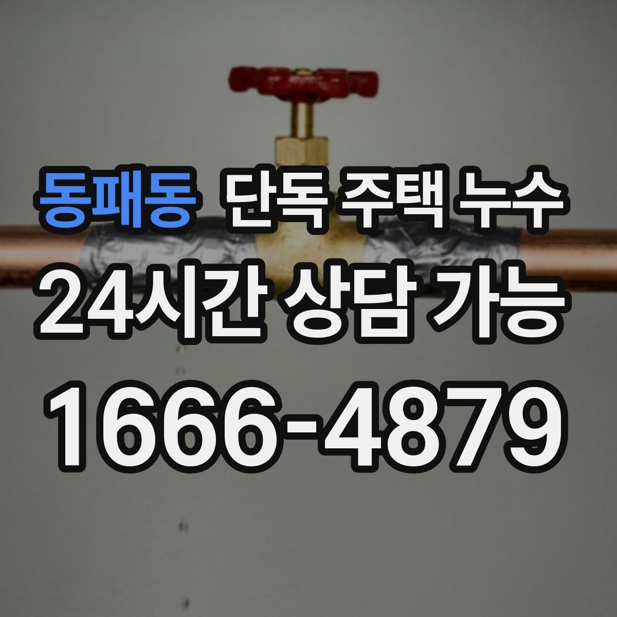 동패동 단독 주택 누수 천장 얼룩이 선처럼 길게 생길 때