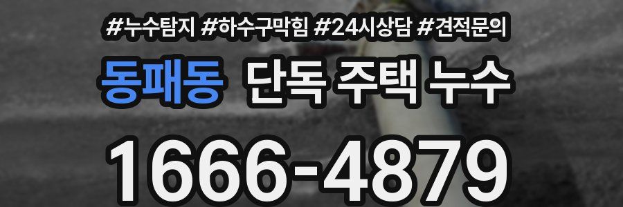 동패동 단독 주택 누수