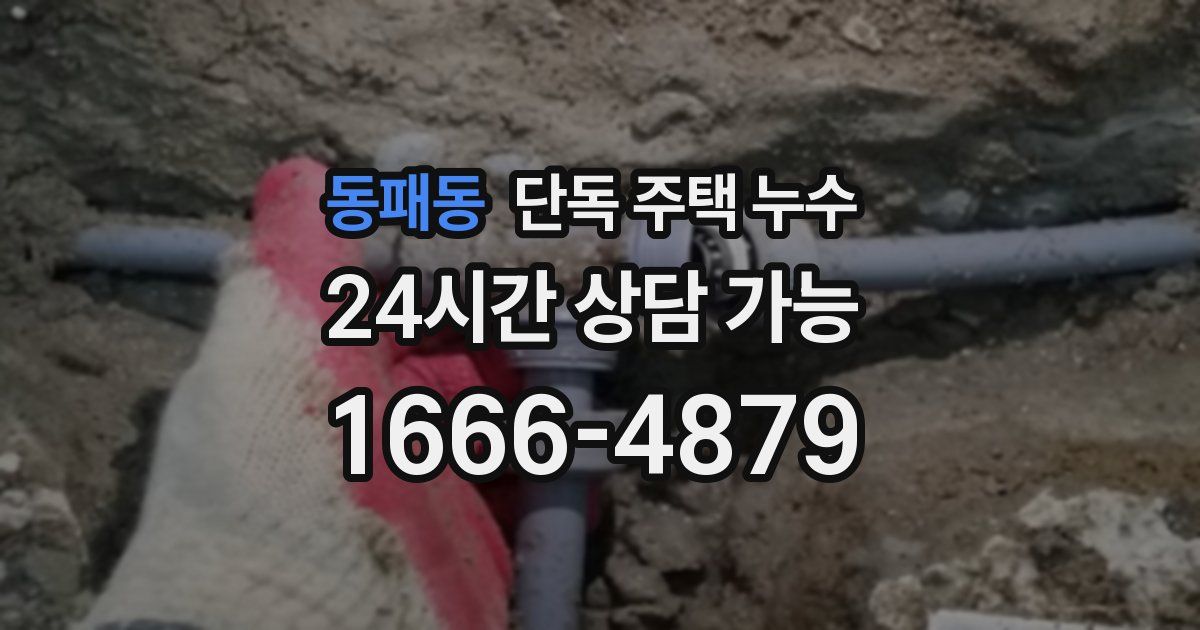 동패동 단독 주택 누수