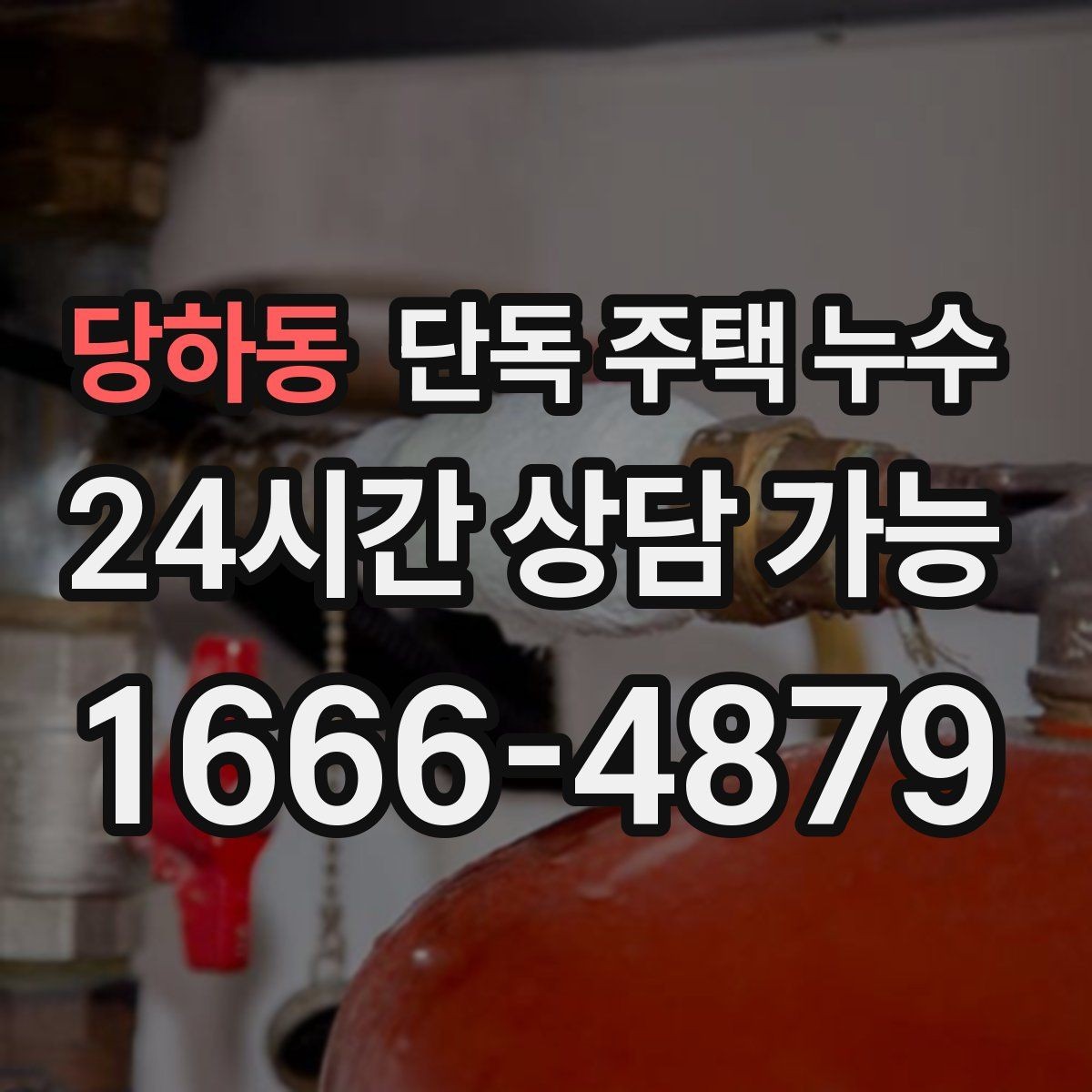 당하동 단독 주택 누수 처마 끝에서 물이 타고 들어올 때