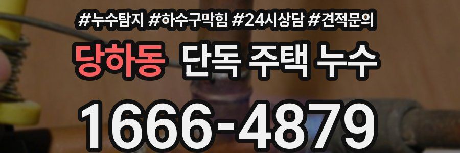 당하동 단독 주택 누수