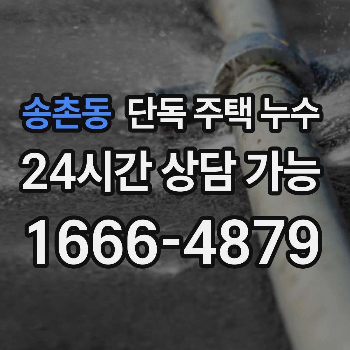 송촌동 단독 주택 누수