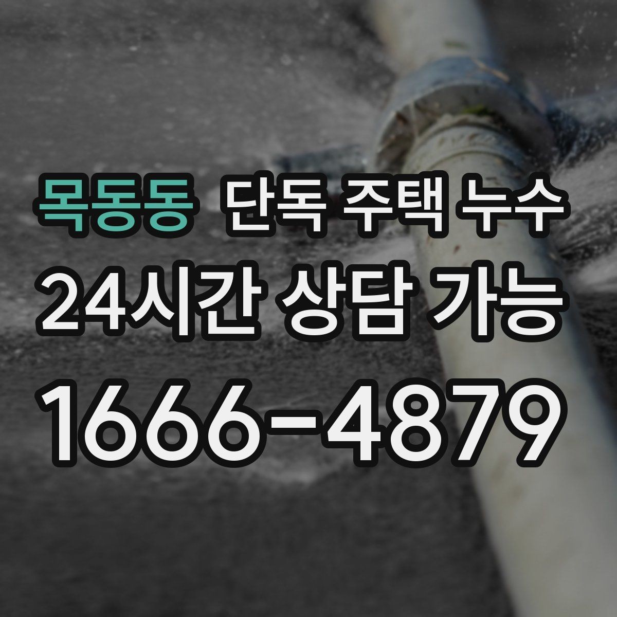 목동동 단독 주택 누수 마당 배수로가 막혔을 때 실내 영향