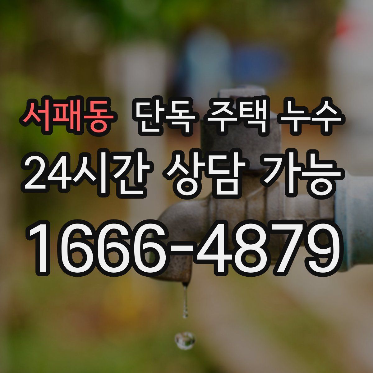 서패동 단독 주택 누수