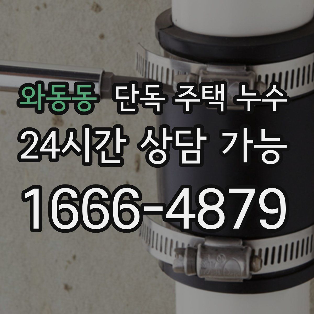 와동동 단독 주택 누수