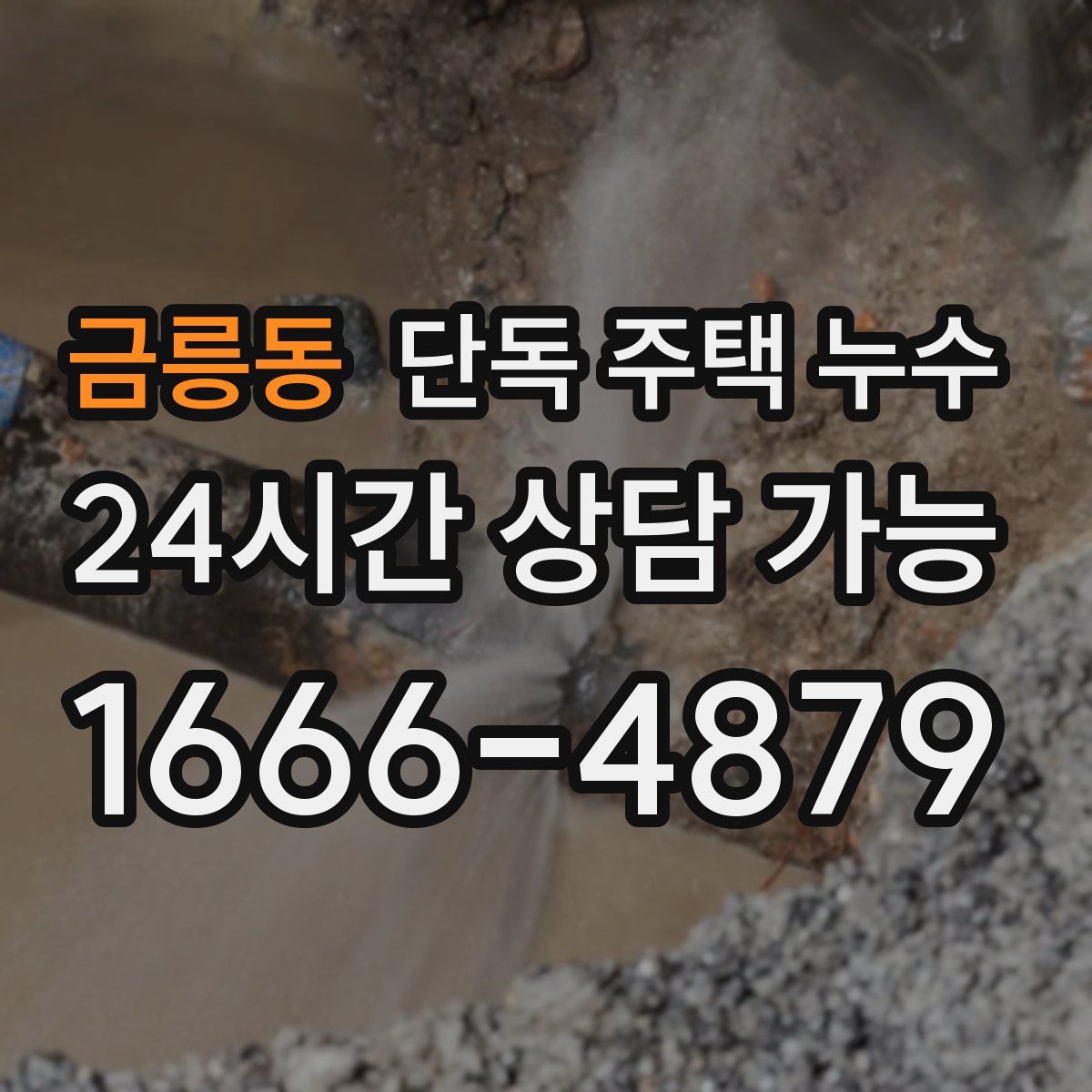 금릉동 단독 주택 누수