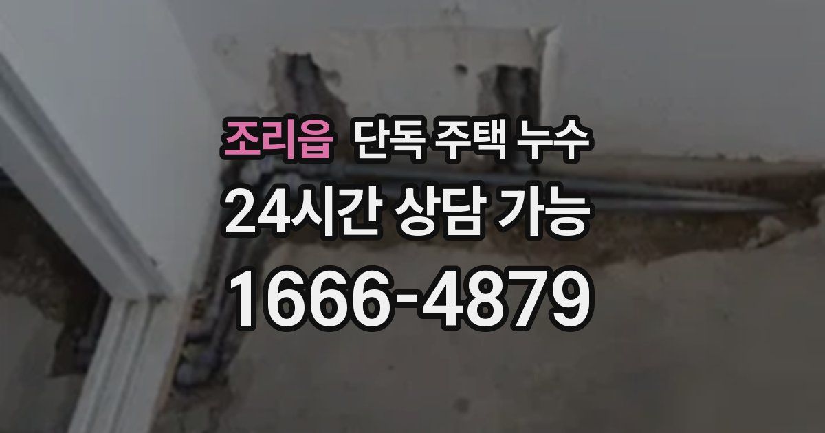 조리읍 단독 주택 누수