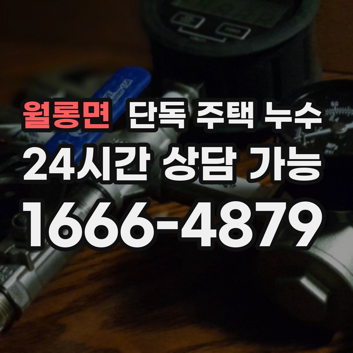 월롱면 단독 주택 누수
