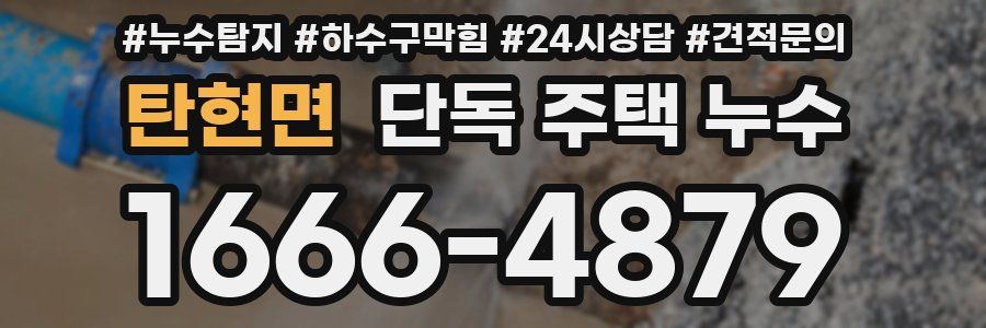 탄현면 단독 주택 누수