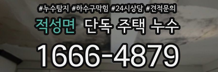 적성면 단독 주택 누수