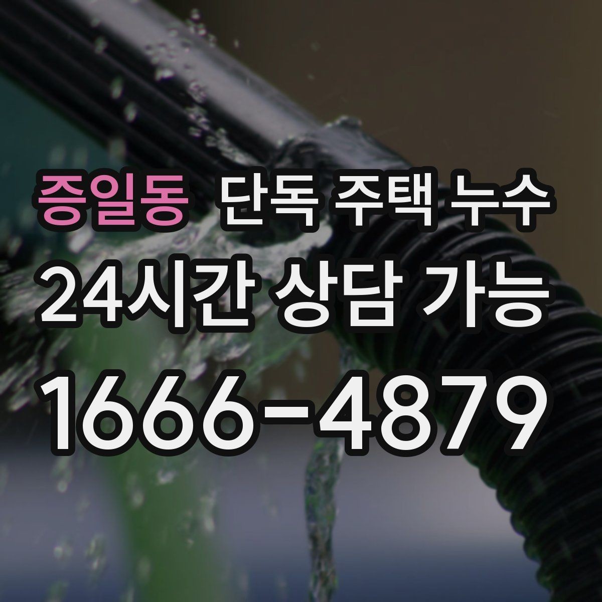 증일동 단독 주택 누수 욕실 줄눈 실리콘 상태로 점검하는 방법