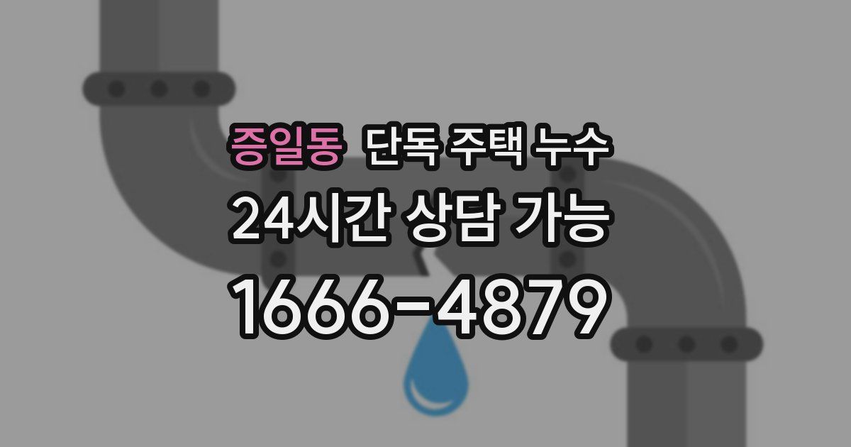 증일동 단독 주택 누수