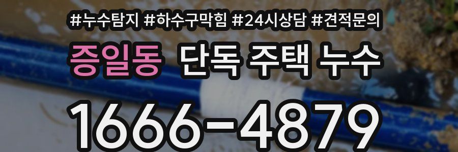 증일동 단독 주택 누수