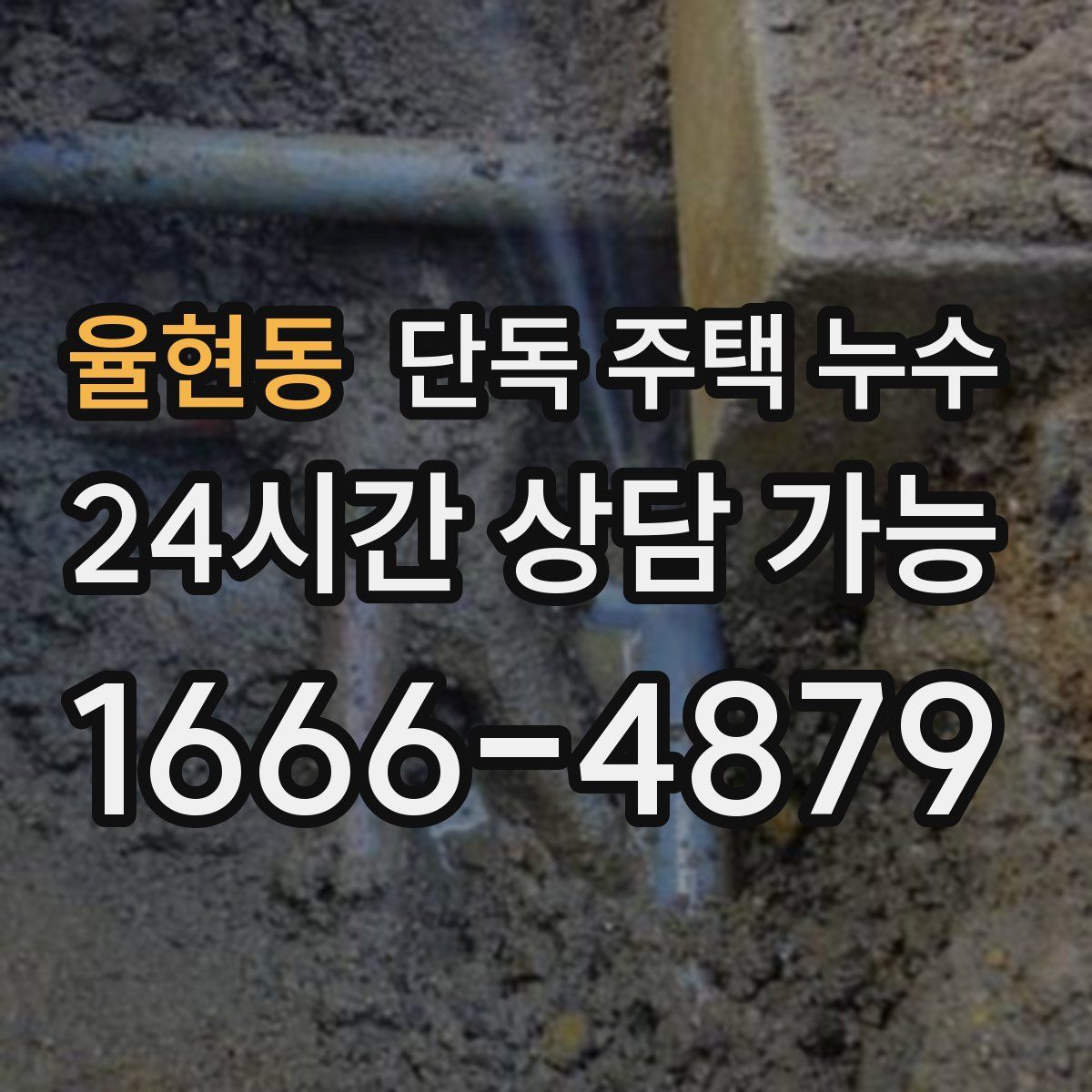 율현동 단독 주택 누수