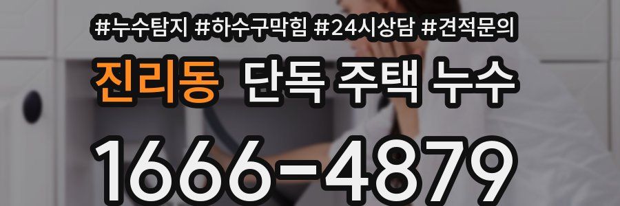 진리동 단독 주택 누수