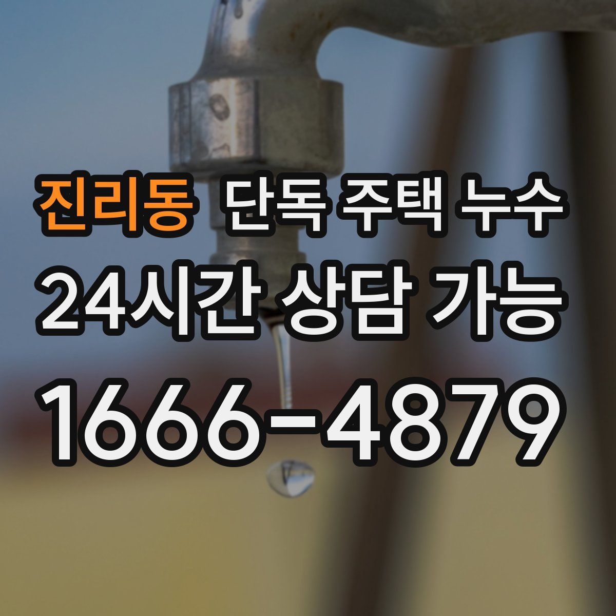 진리동 단독 주택 누수