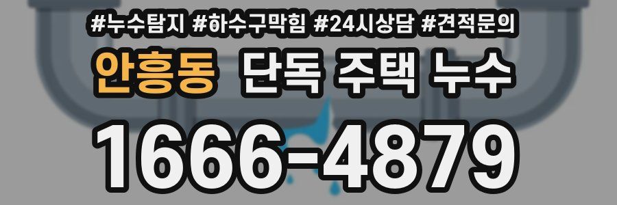 안흥동 단독 주택 누수