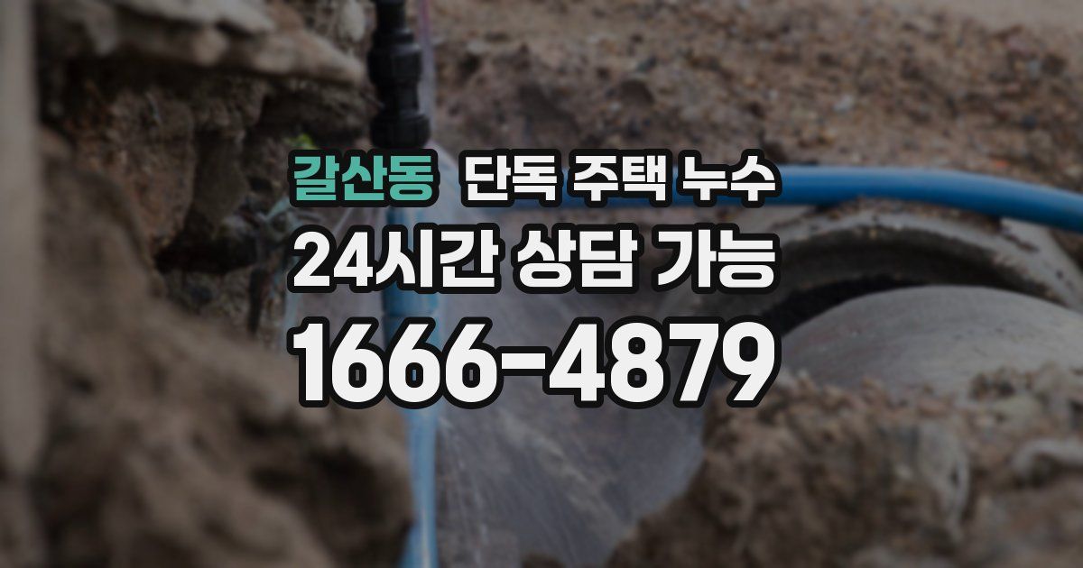 갈산동 단독 주택 누수