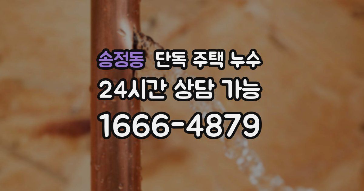 송정동 단독 주택 누수